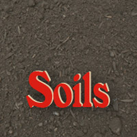 Mulch, Decorative Gravel | KC Mulch, Kansas City, Missouri, MOGravel